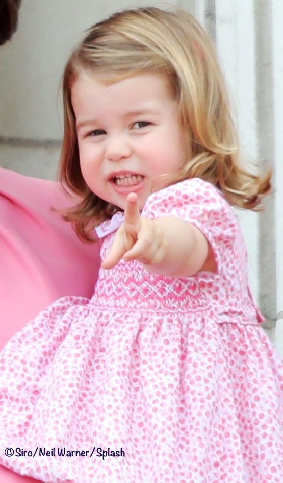 princess charlotte pink dress