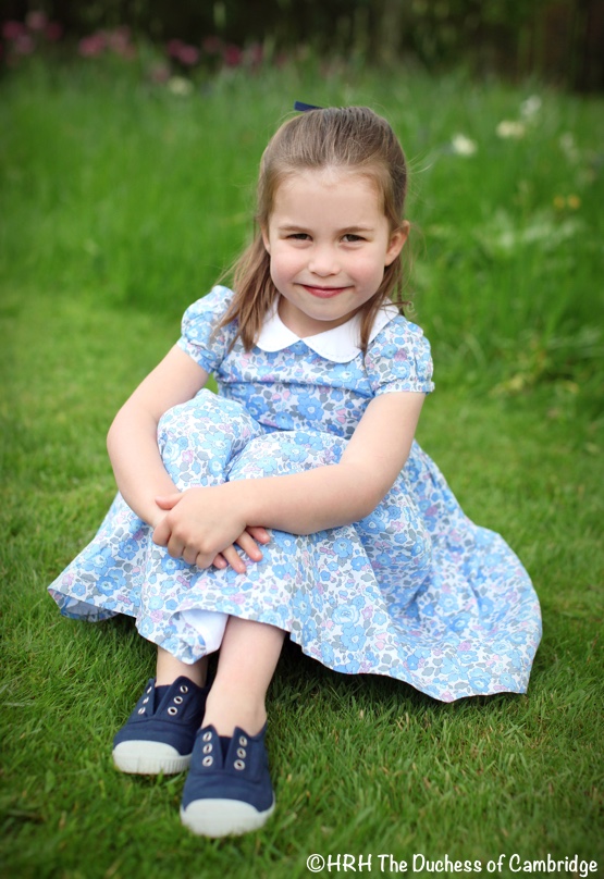 Charlotte-4th-Birthday-on-Grass-Blue-Lily-Rose-Trotters-Dress-500-x-800.jpg